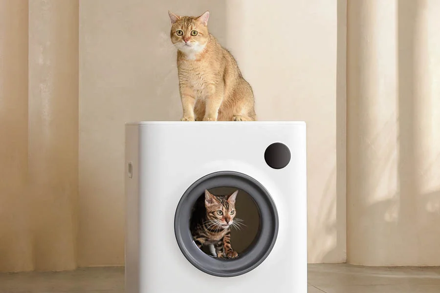 fancy litter box