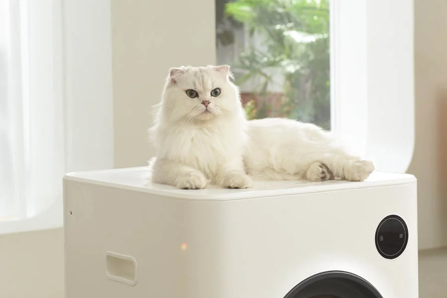 litter box self cleaning