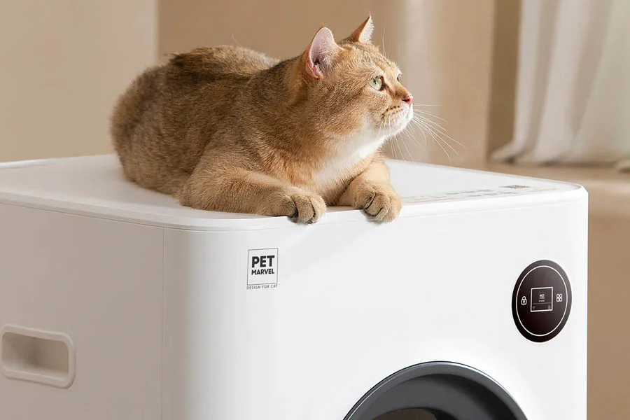 automatic cleaning cat box