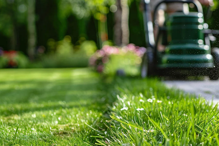 small battery operated lawn mowers