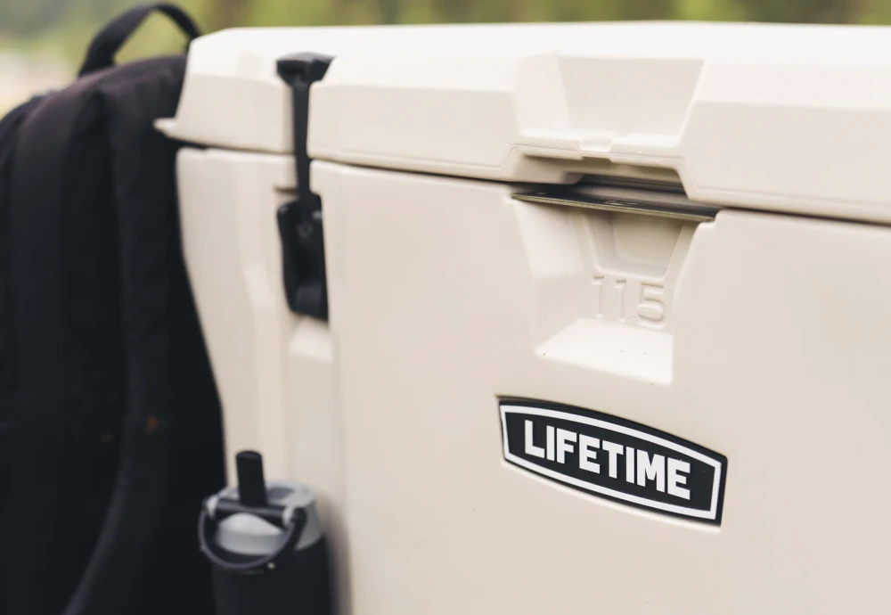 portable cooler box