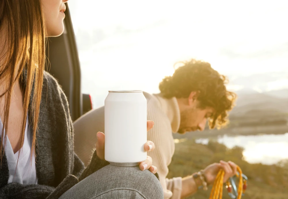 portable car cooler box