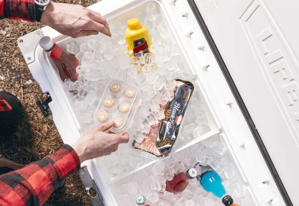 car ice chest cooler