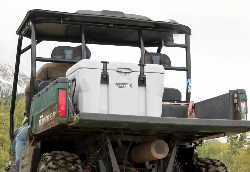 portable cooler box for car