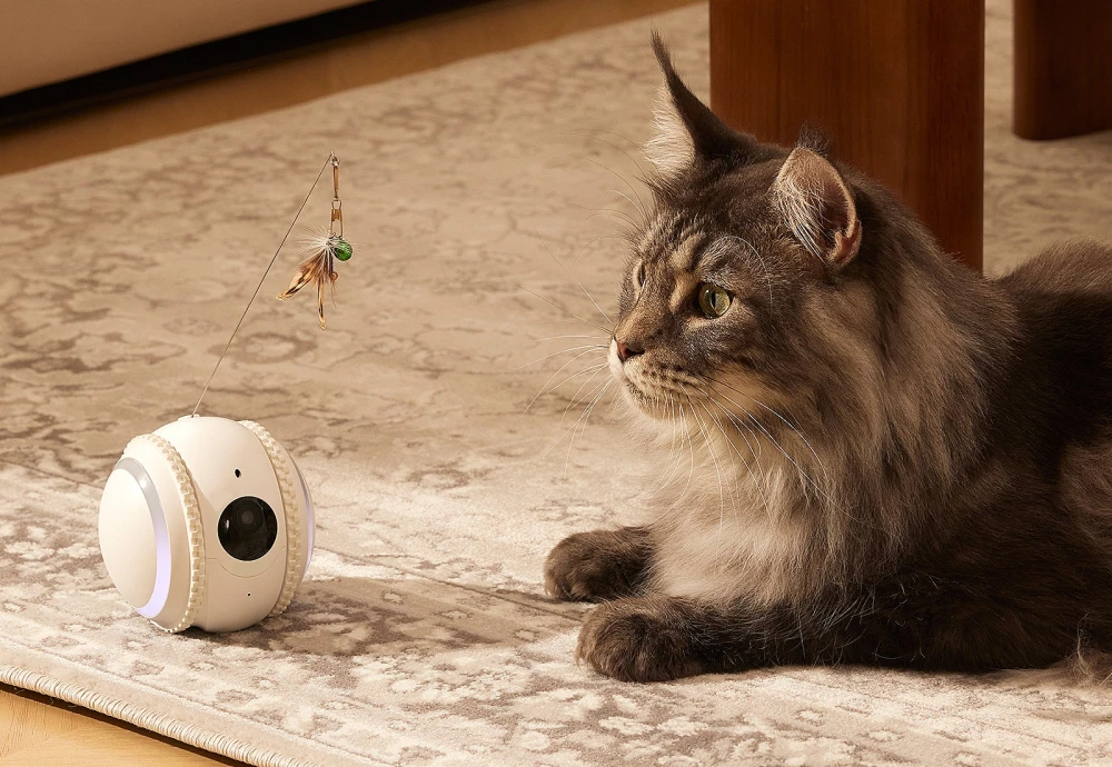 pet video camera monitor