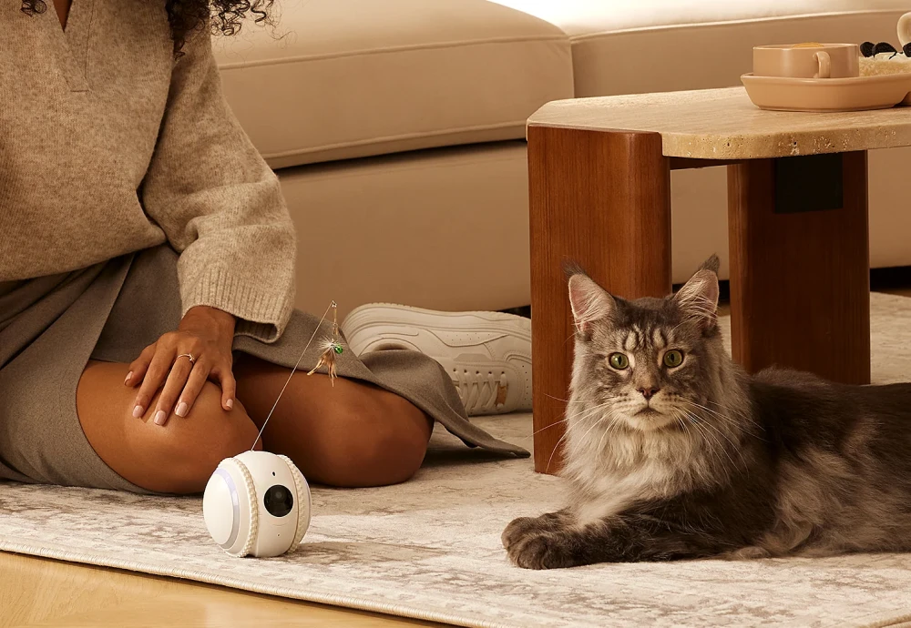 best indoor camera to watch pets