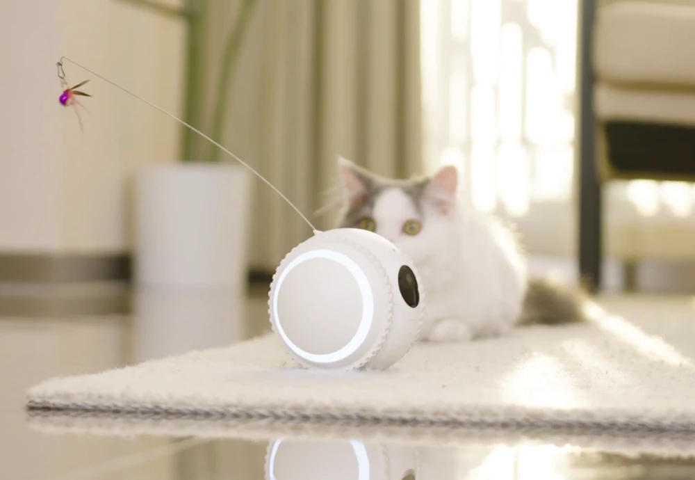 best interactive pet camera