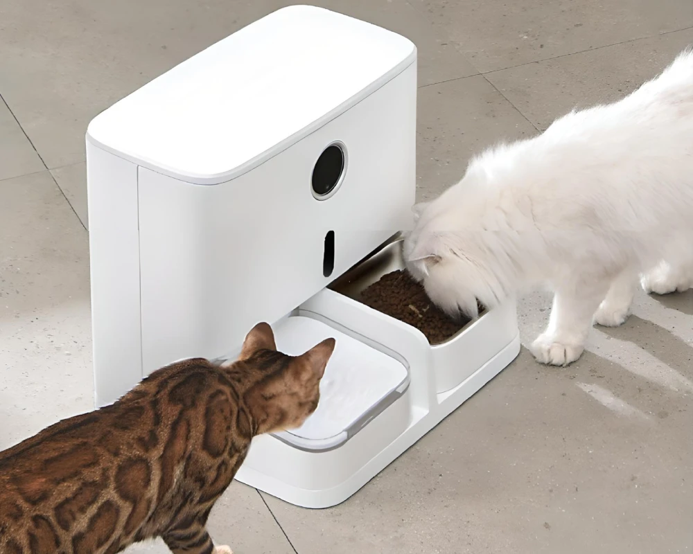 pet safe automatic feeder