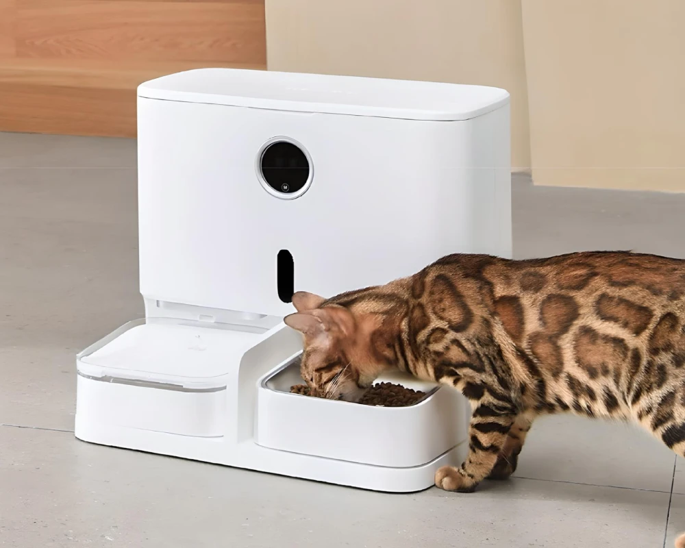 automatic pet feeder for two cats