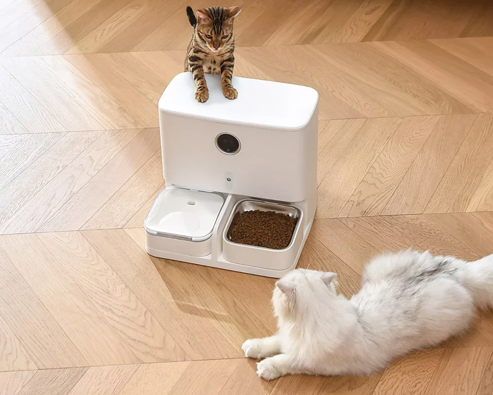 automatic water feeder dogs