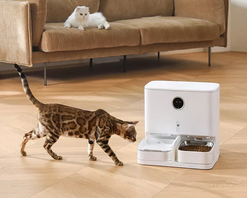 auto pet food dispenser